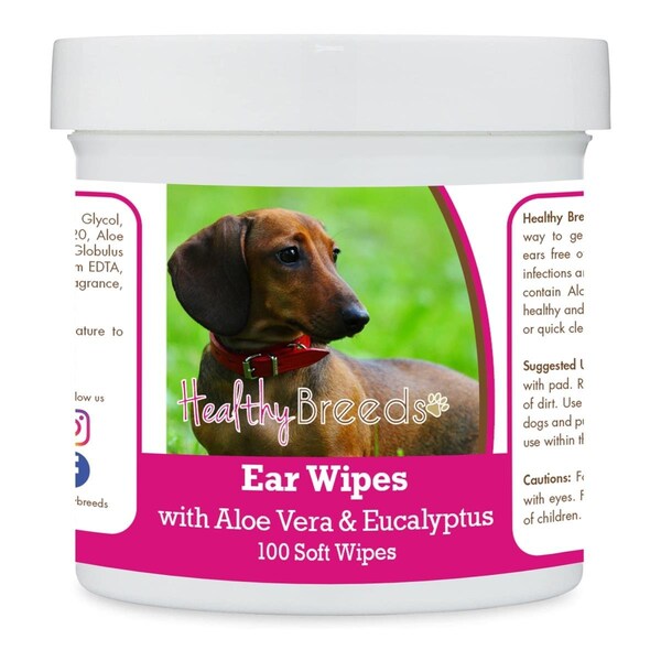 Pamperedpets Dachshund Ear Cleaning Wipes with Aloe & Eucalyptus for Dogs, 100PK PA3486369 - main